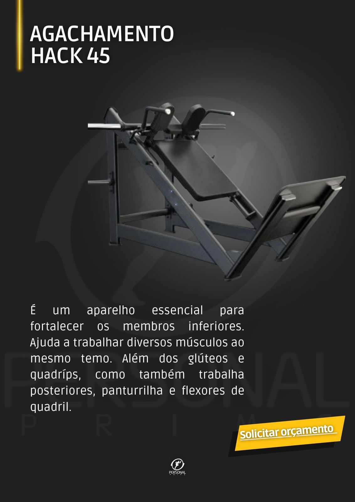 Agachamento Hack 45 Premium