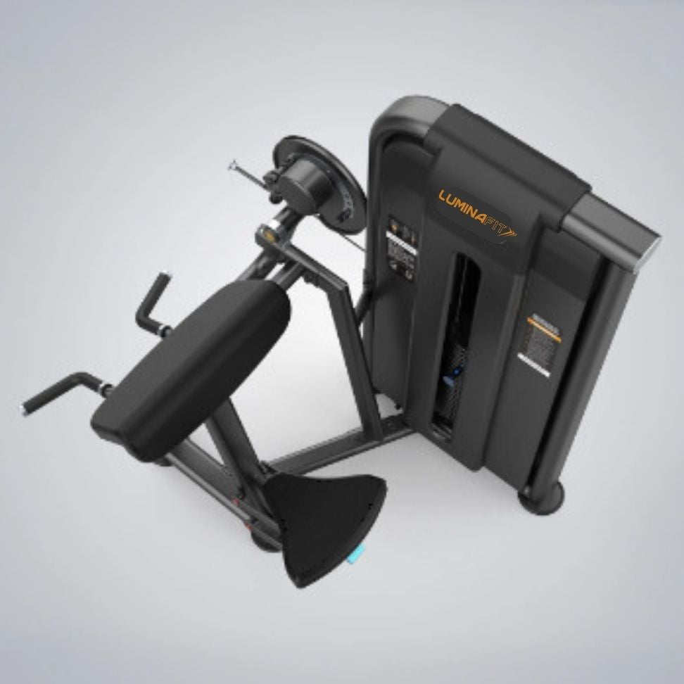 Bíceps e Tríceps Máquina Premium