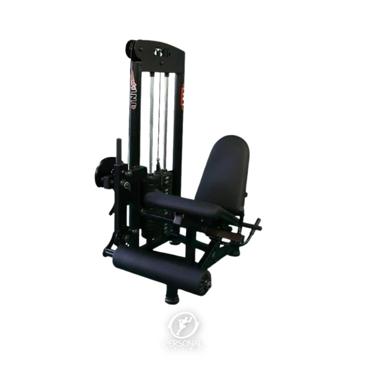 Cadeira Extensora 3 Polegadas